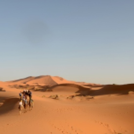 A camel train crosses the dunes near Merzouga.